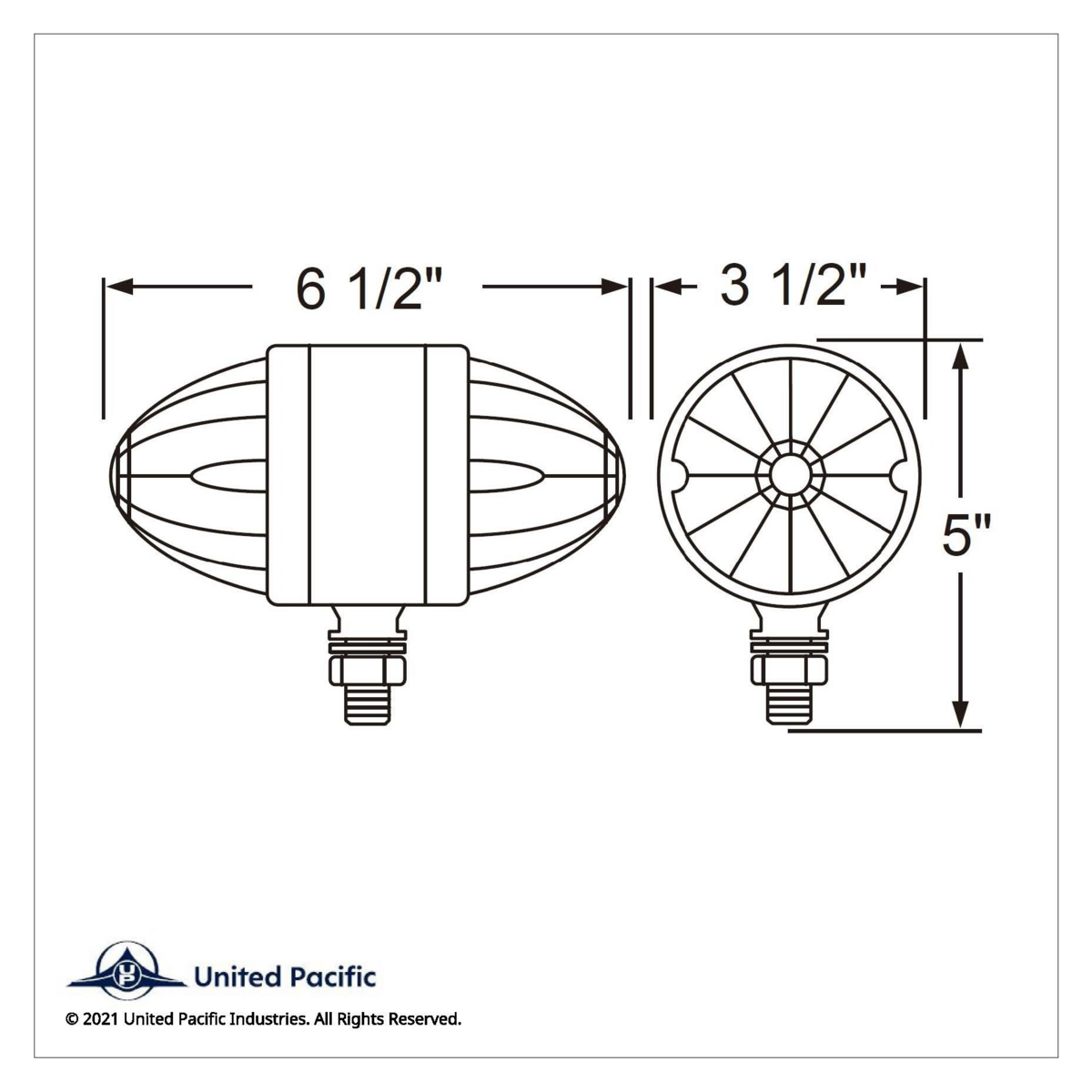 Dual Function LED Watermelon Double Face Light