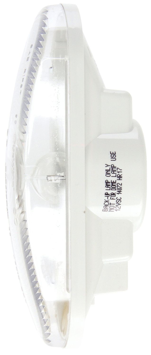 Clear Back Up INCANDESCENT Light