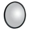 6" Stainless Center-Mount Convex Mirror Head with J-Bracket