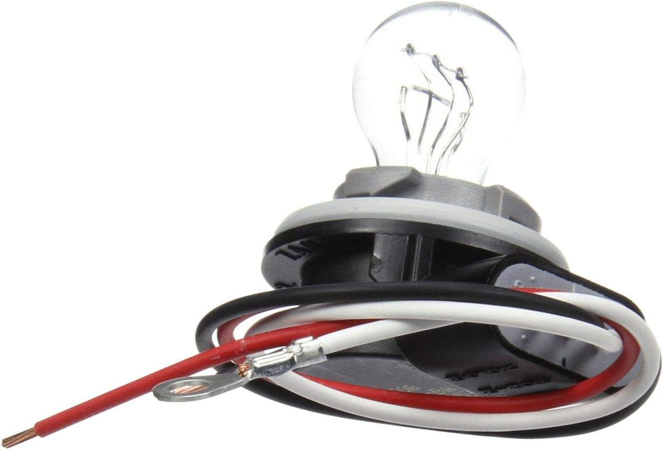 Socket Assembly INCANDESCENT