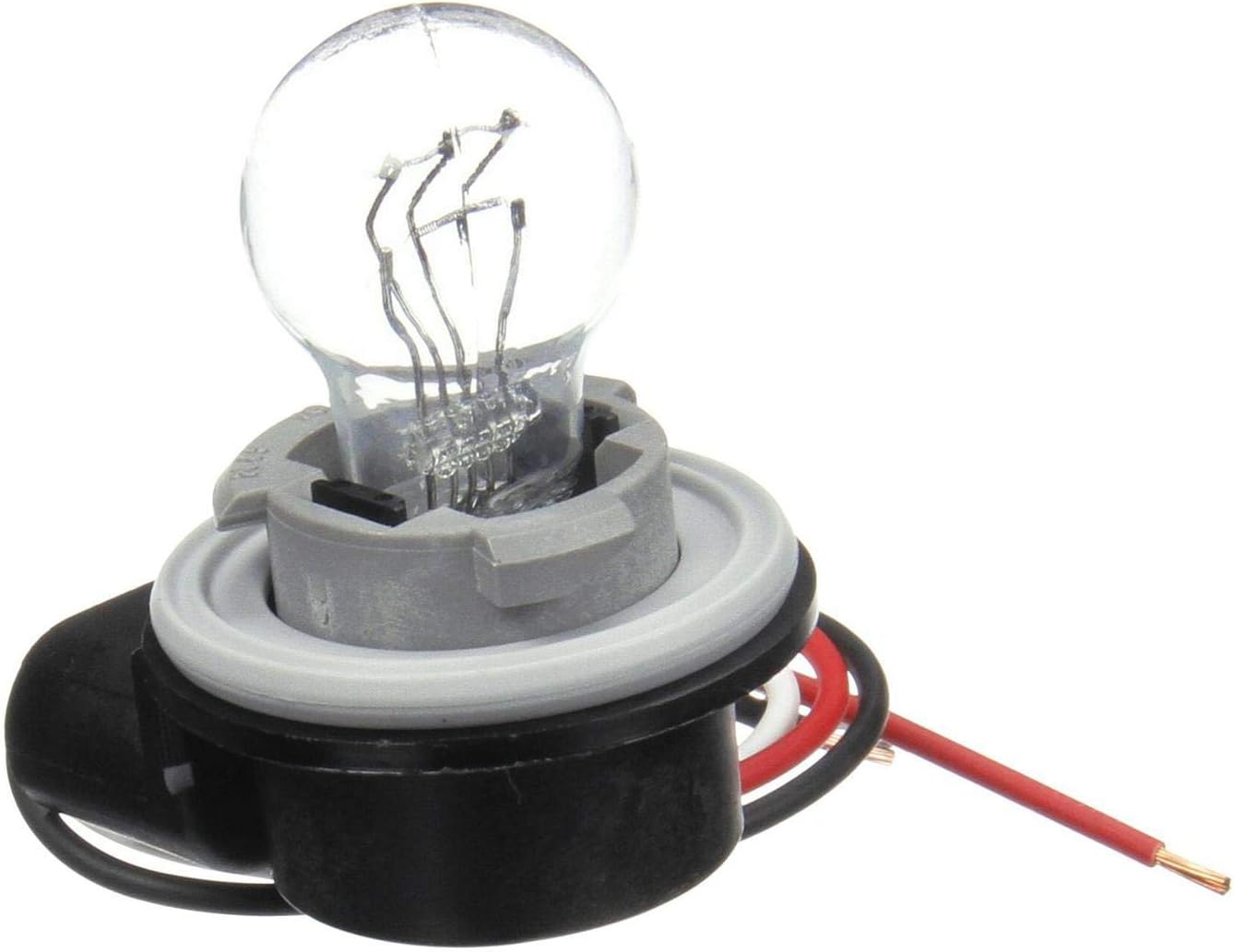 Socket Assembly INCANDESCENT