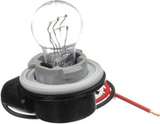 Socket Assembly INCANDESCENT